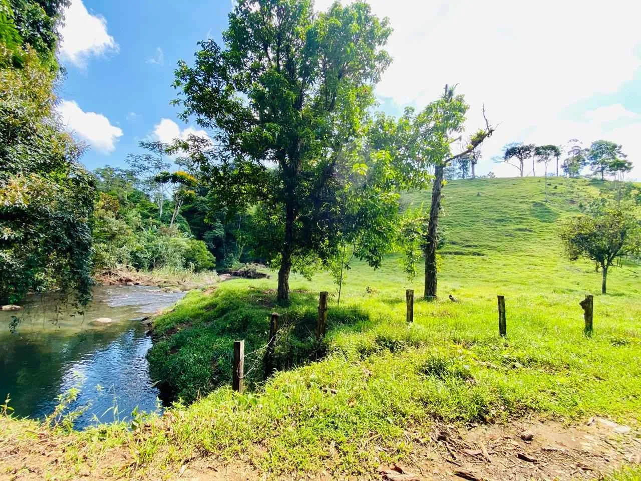 Finca para inversión o producción 